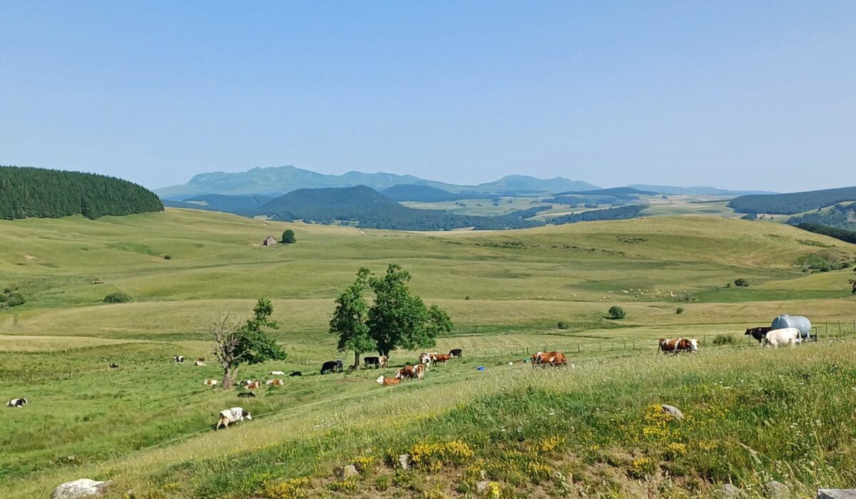 Rando La Godivelle Cézallier