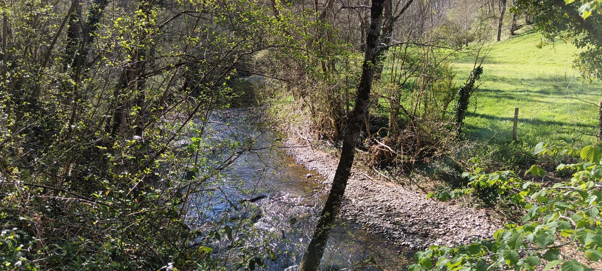 IMG-20260406-WA0017